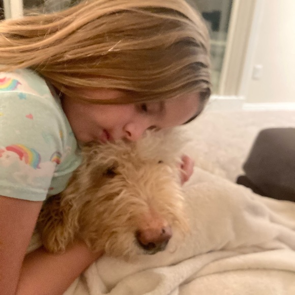 FLAMINGALS Flamingo Patriotic Jeans (L) - Picture 11 of 11